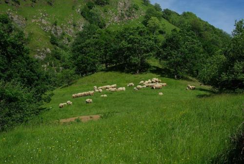 Maison de charme Nature et Rivière au pays basque