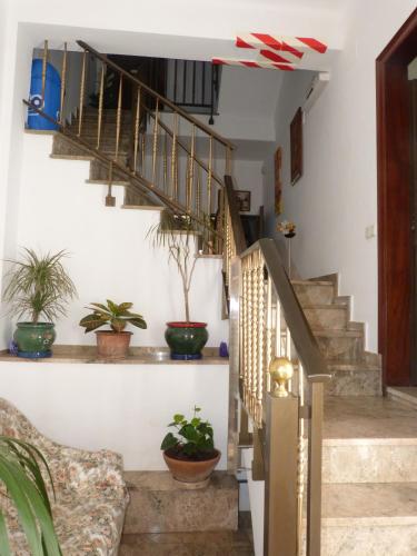 المنظر الخارجي, Hostal Zurich in سان فيليو دي غيشول