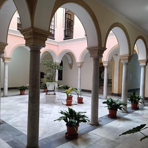 Jerez Palace House Room Type - Apartment with Terrace