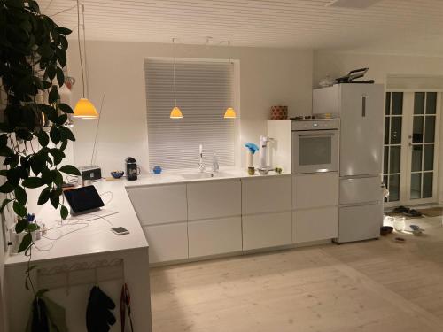 Stor lys lejlighed med terrasse og altan in هيلسينجور