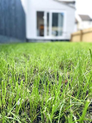 2 Bedroom Modern House in Cambridge city centre in Zona Andrews Hall