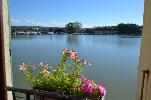 Grande Maison à Castelnaudary avec superbe vue - Location saisonnière - Castelnaudary