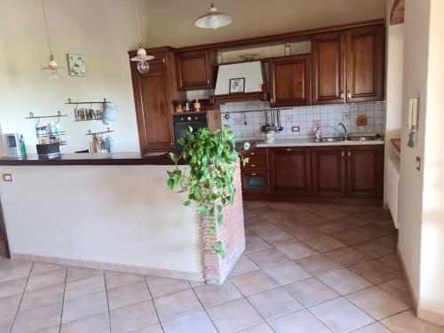  Podere 239 in Magliano in Toscana
