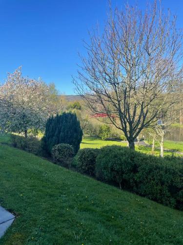 Riverside Lodge in Carlow