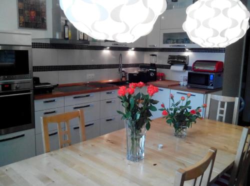 Hostel Hamburg – Hamburg, VA