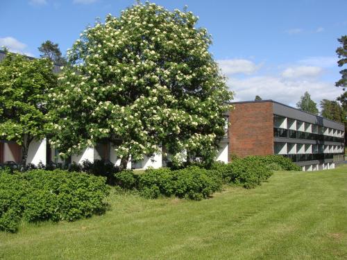 Hotel & Hostel Tallukka - image 13