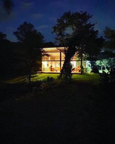 . Casa de Vidro cercada por Araucárias