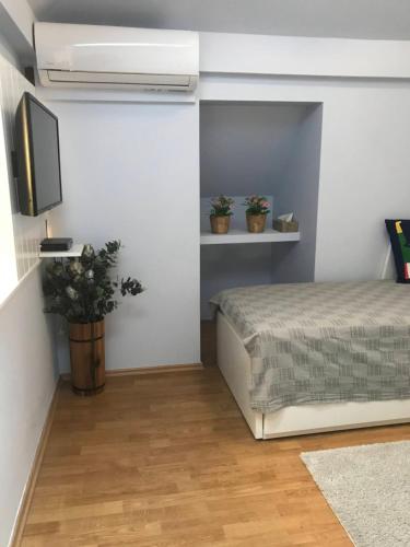 Tulipán Apartman Kápolnásnyék