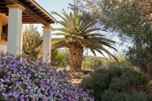 Villa Can Roser - Santa Gertrudis Villa Can Roser - Santa Gertrudis