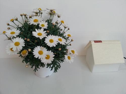 B&B Bergamo Alta – Bergamo, VA