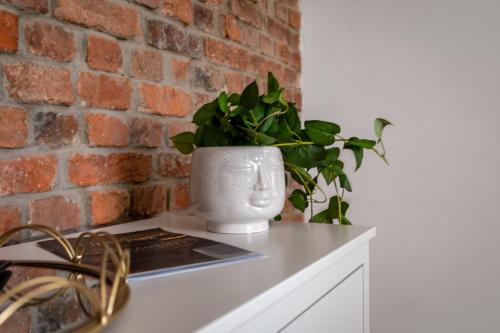 Apart-Invest Apartament Skandynawski, Szklarska Poręba (foto 8)