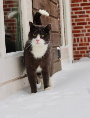 Appartementen Chaamse Bossen met tuin Appartementen Chaamse Bossen met tuin