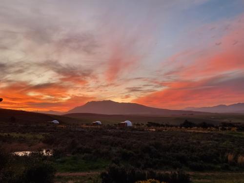 Pom Gratz - EcoDomes Pom Gratz - EcoDomes