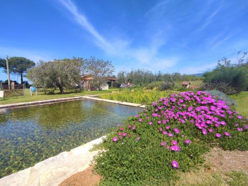  Holiday Home Nord by Interhome in Castellaccia