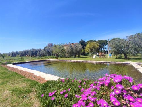  Holiday Home Ovest by Interhome, 58027 Castellaccia