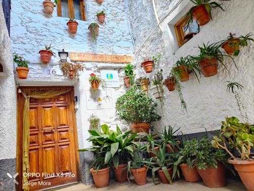 Zunanjost, La casa de Paco y Ana in Pitres City Center