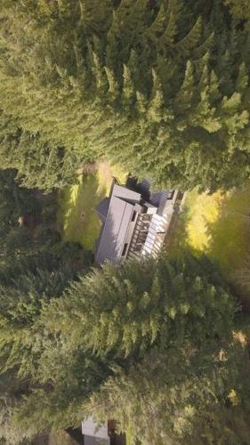 Villa La Angostura - El Encuentro: Un lugar soñado (Villa La Angostura - El Encuentro: Un lugar sonado) in 비야 라 앙고스투라