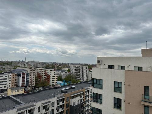 Fabulous Penthouse Lakeview W20 Room Type - One-Bedroom Apartment