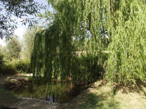 安蒂科卡萨莱波祖罗旅馆