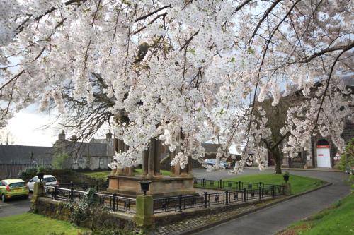 Stirling Youth Hostel