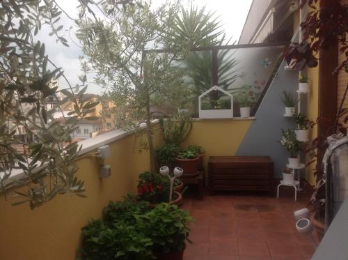 B&B Dei Cavalieri – Pisa, MN