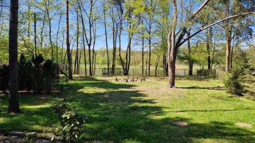 Domek nad Narwią (Domek nad Narwia) in Sobieski