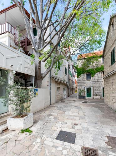 Apartment Ivanka - image 12