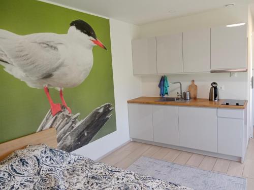 кухня, Apartamenty i Domki Osinscy in Бранєво
