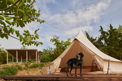 Agricola Ombra - Tents in nature