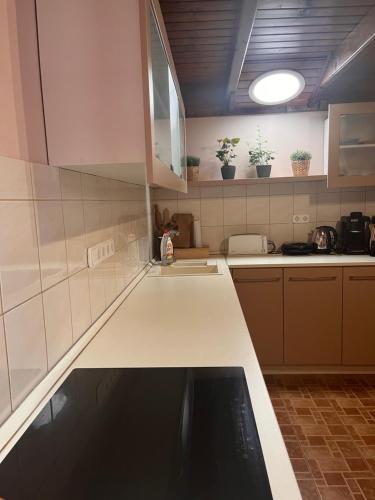 Tulipán Apartman Kápolnásnyék