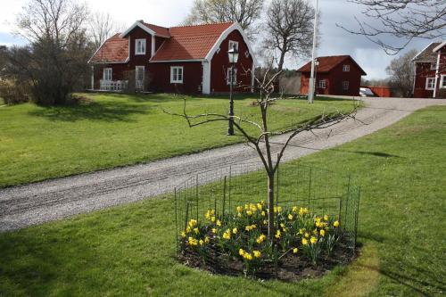 Villa with Garden View