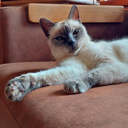 Hotel das Hortênsias