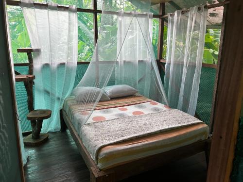 Rio Agujitas Eco Farm hostel and Tours