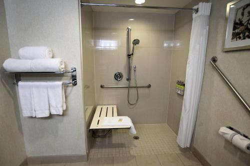 Standard King Room with Accessible Roll-In Shower