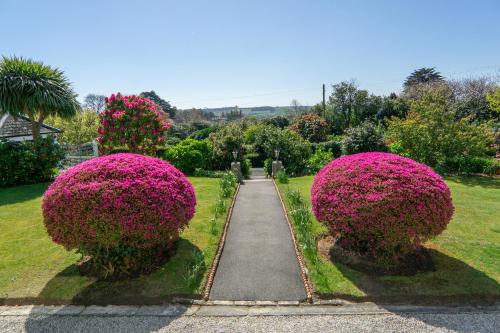 Ivy House Cornwall B&B