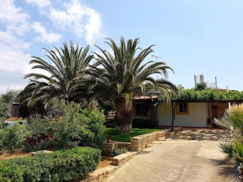 Garden, Aloni Home in Moires
