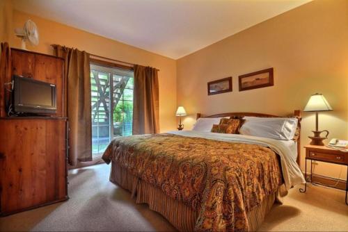 Apartment image 6