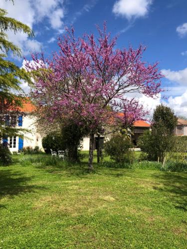 AU DOMAINE DES OISEAUX ses chambres sa gloriette insolite face à l'étang bucolique - Chambre d'hôtes - La Devise