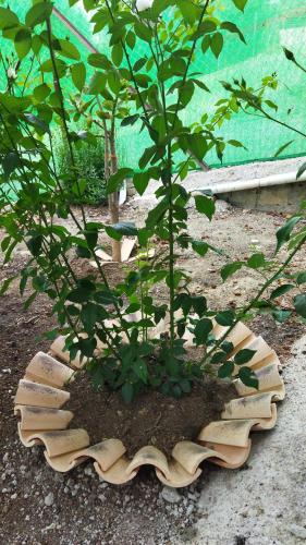 Kert, La buhardilla in Algodonales