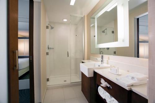 SpringHill Suites by Marriott Orlando at FLAMINGO CROSSINGS Town Center-Western Entrance