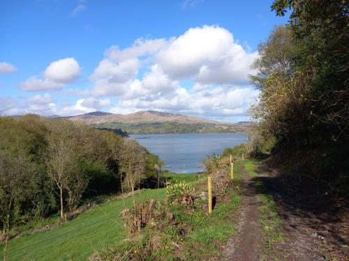 Cuckoo Tree House Glengarriff Beara Peninsula