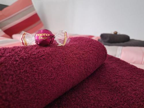 Appartement 223