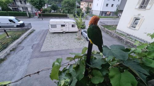 Chez Pewee, beau duplex en ville, parc privé