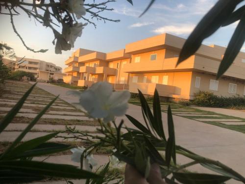 Residence Romeo