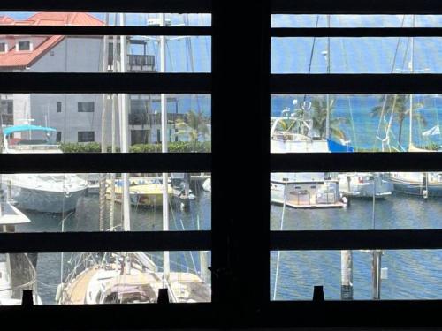 Sapphire Dream in Red Hook