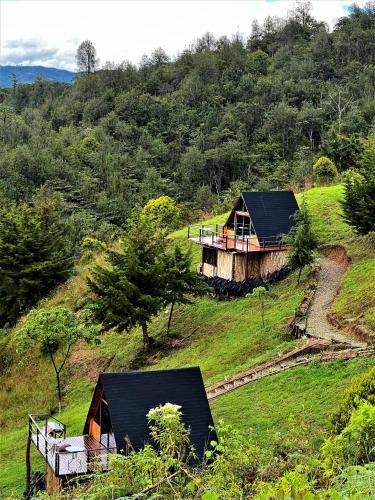 Carriquí Glamping