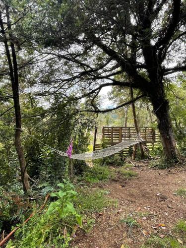 Cabaña del bosque con estero