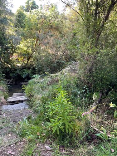 Cabaña del bosque con estero