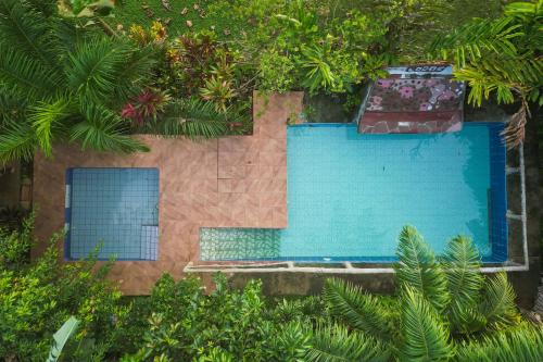 . Iguanitas Lodge