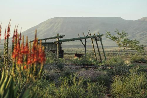 Mount D'Urban Campsite